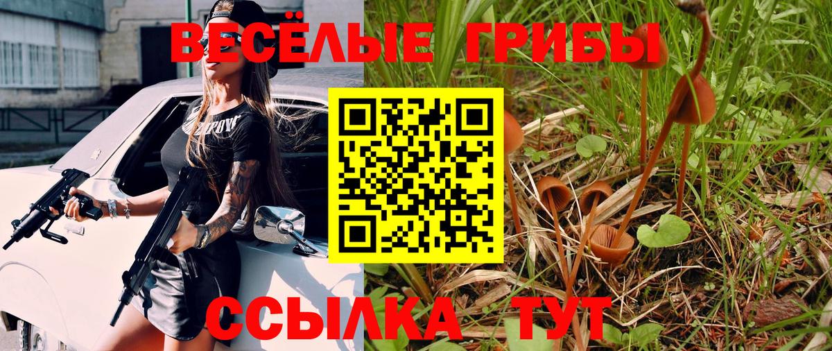 Галлюциногенные грибы Cubensis Мценск