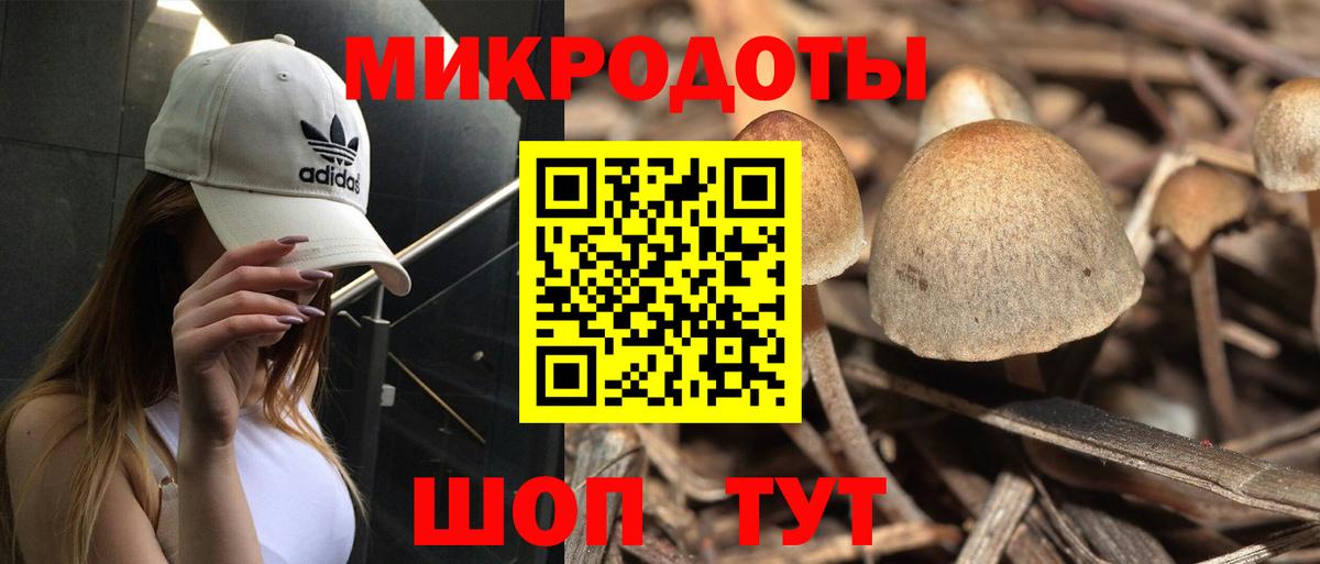 Галлюциногенные грибы ЛСД  Вход с VPN  Псилоцибиновые грибы Psilocybine cubensis  Мценск 