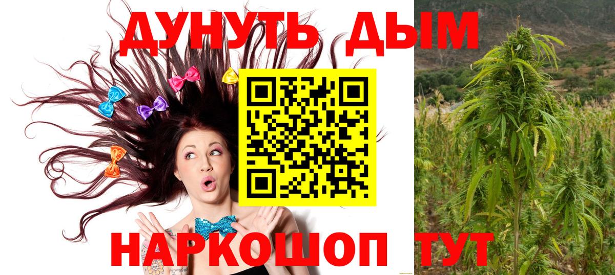 Шишки марихуана тримм  Вход с VPN  Мценск  Канабис тримм  Марихуана семена 